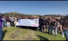 Hatay Depremzede Derneği: Zeytinliklerimizi Sökmeye Başlayan İnşaat Şirketi İzin Belgesine Sahip mi?