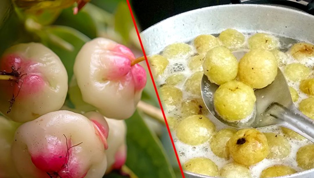 Guava ve Amla: Hangisi daha fazla C vitamini içerir?